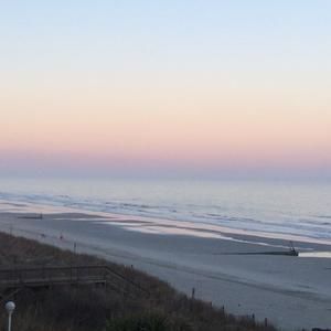 Meet your Posher, Moo